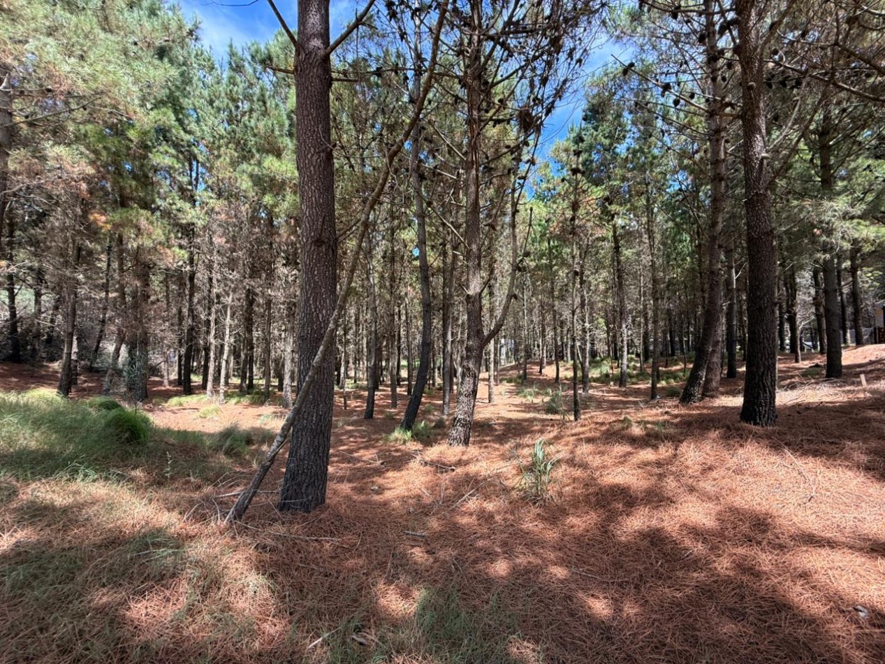 LOTE EN VENTA - COSTA ESMERALDA