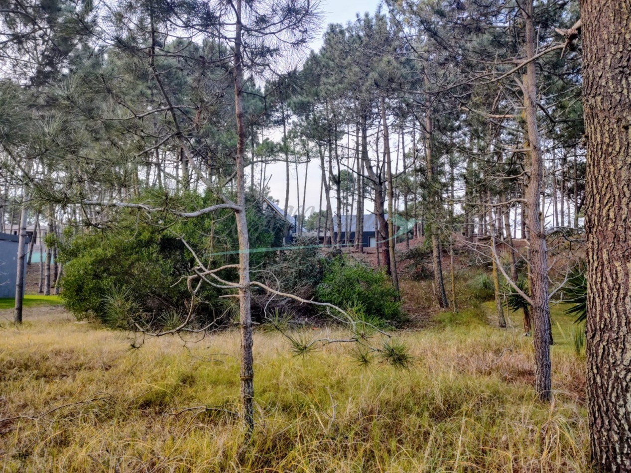 LOTE EN VENTA - ZONA ALAMOS - PINAMAR