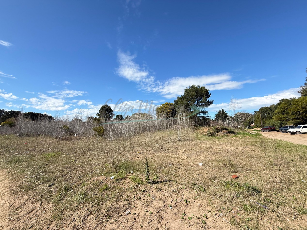 LOTE O MANZANA EN VENTA - OSTENDE - PINAMAR