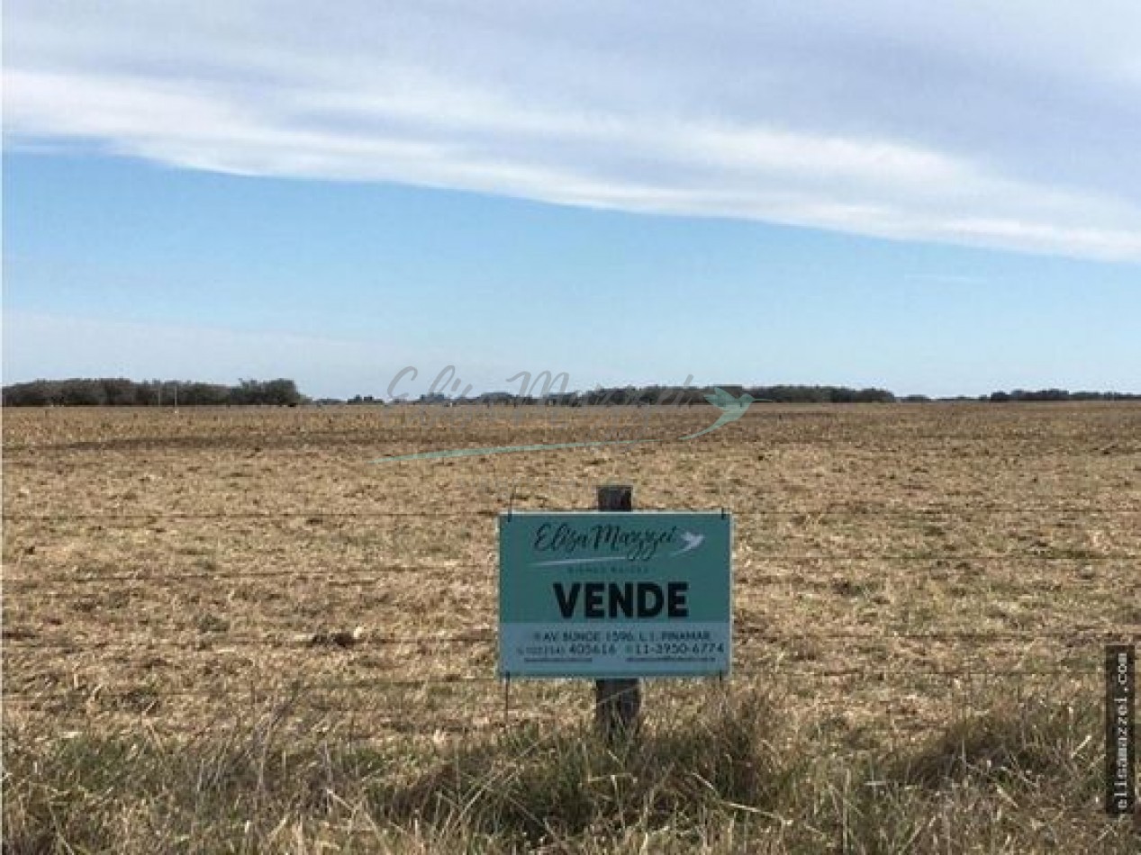 CHACRA EN VENTA - 12 HAS - MADARIAGA