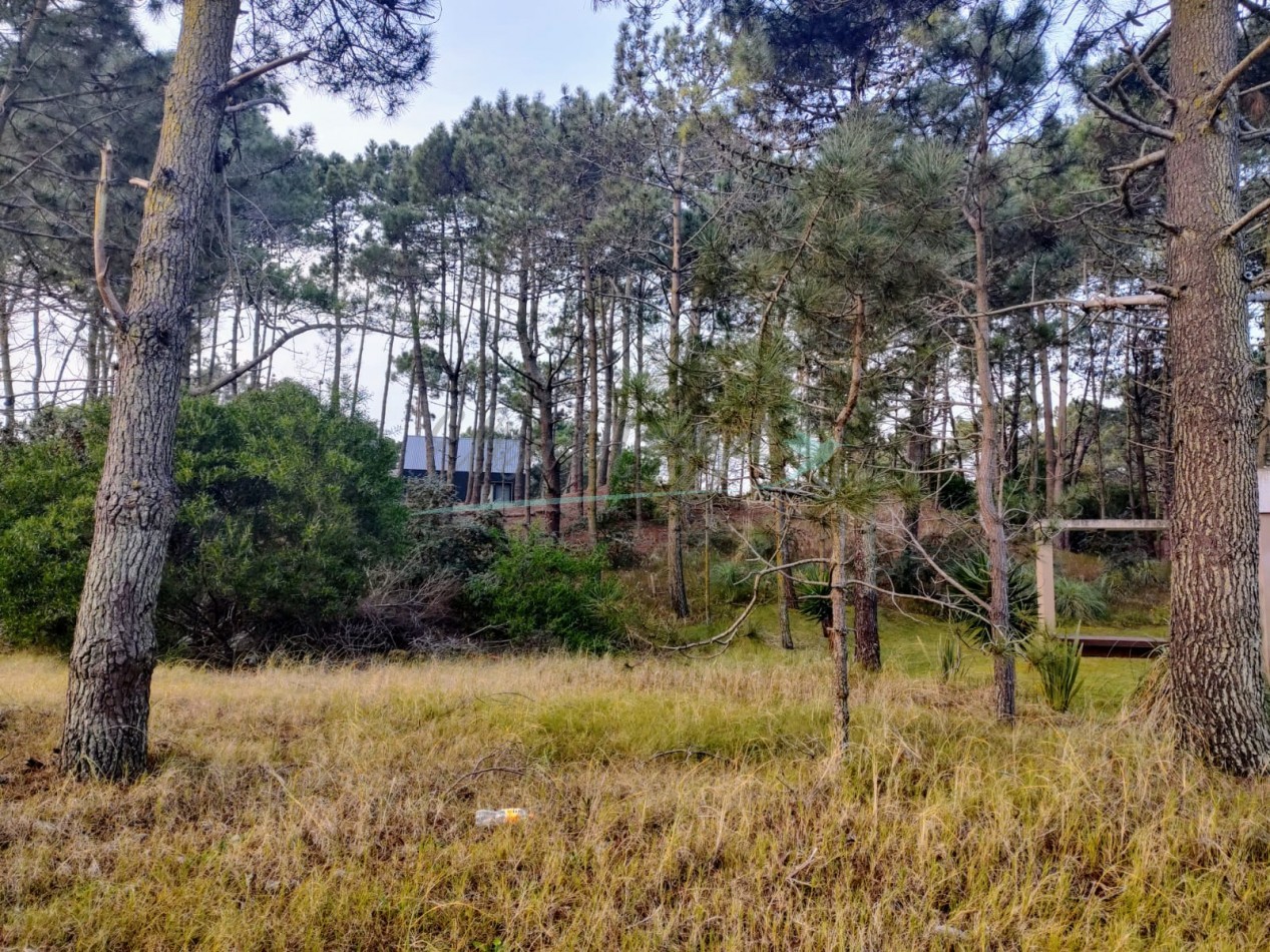 LOTE EN VENTA - ZONA ALAMOS - PINAMAR