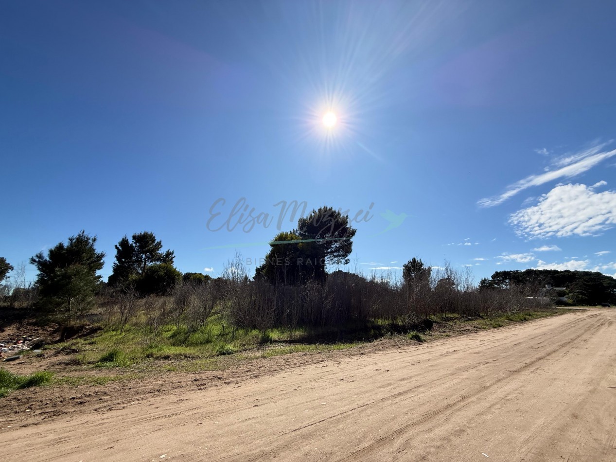 LOTE O MANZANA EN VENTA - OSTENDE - PINAMAR