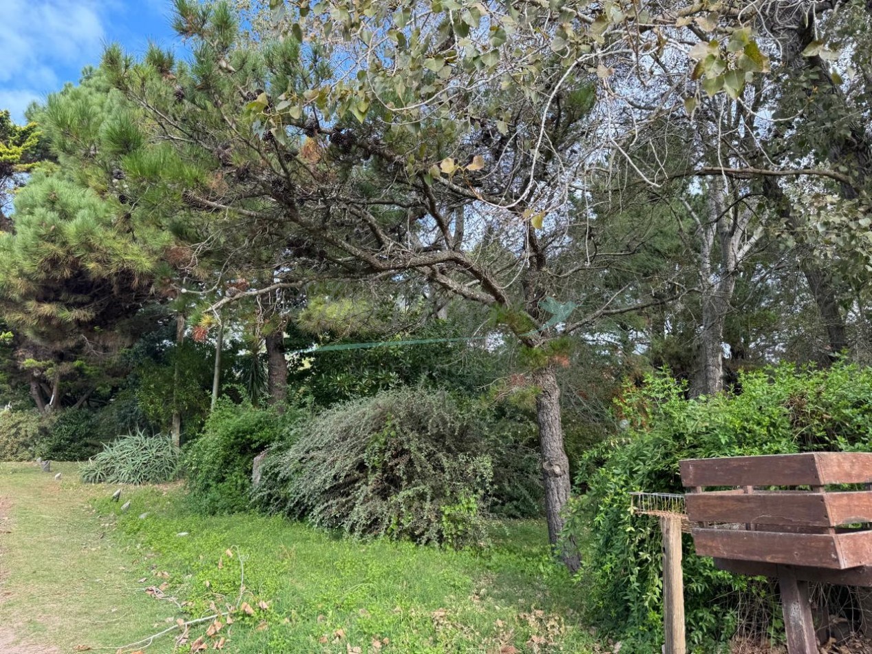 LOTE MULTIFAMILIAR EN VENTA - VALERIA DEL MAR