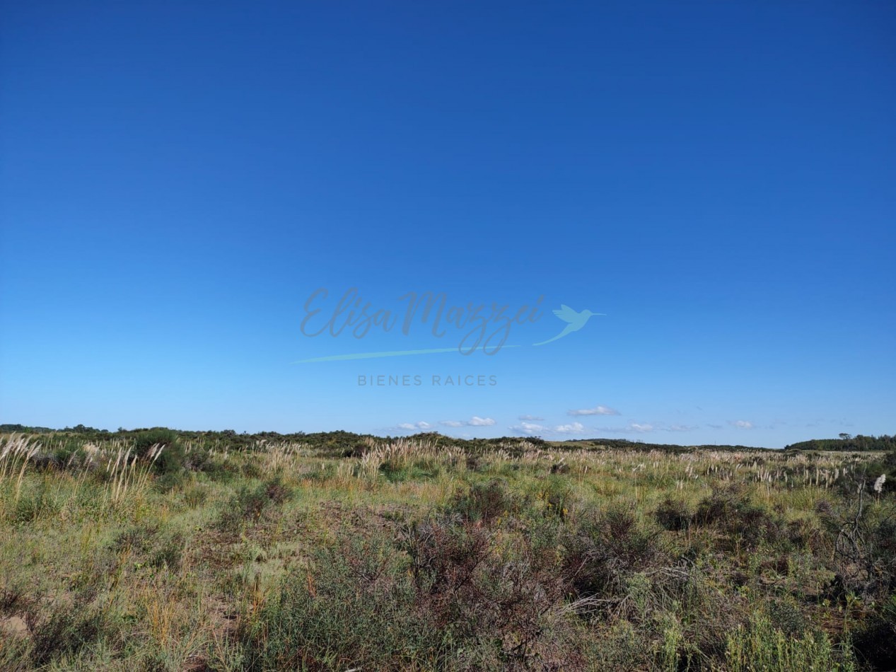 CHACRA EN VENTA - VILLA GESELL