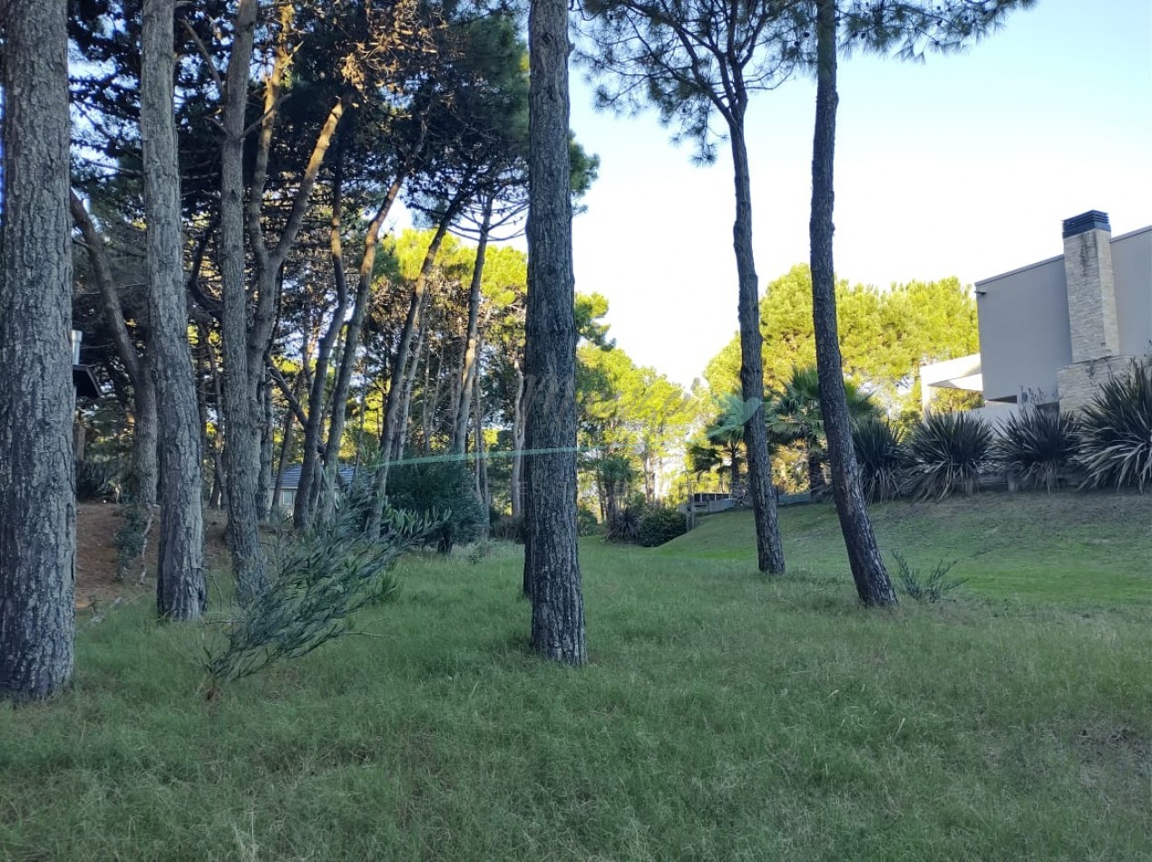 LOTE EN VENTA - PINAMAR NORTE 