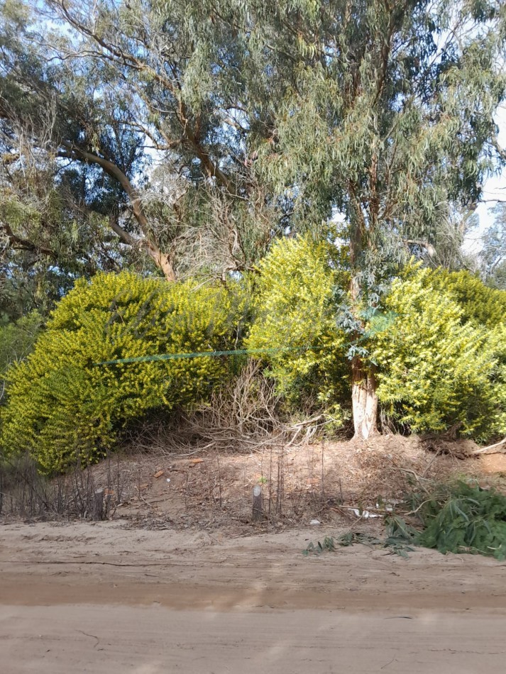 LOTE EN VENTA - PINAMAR