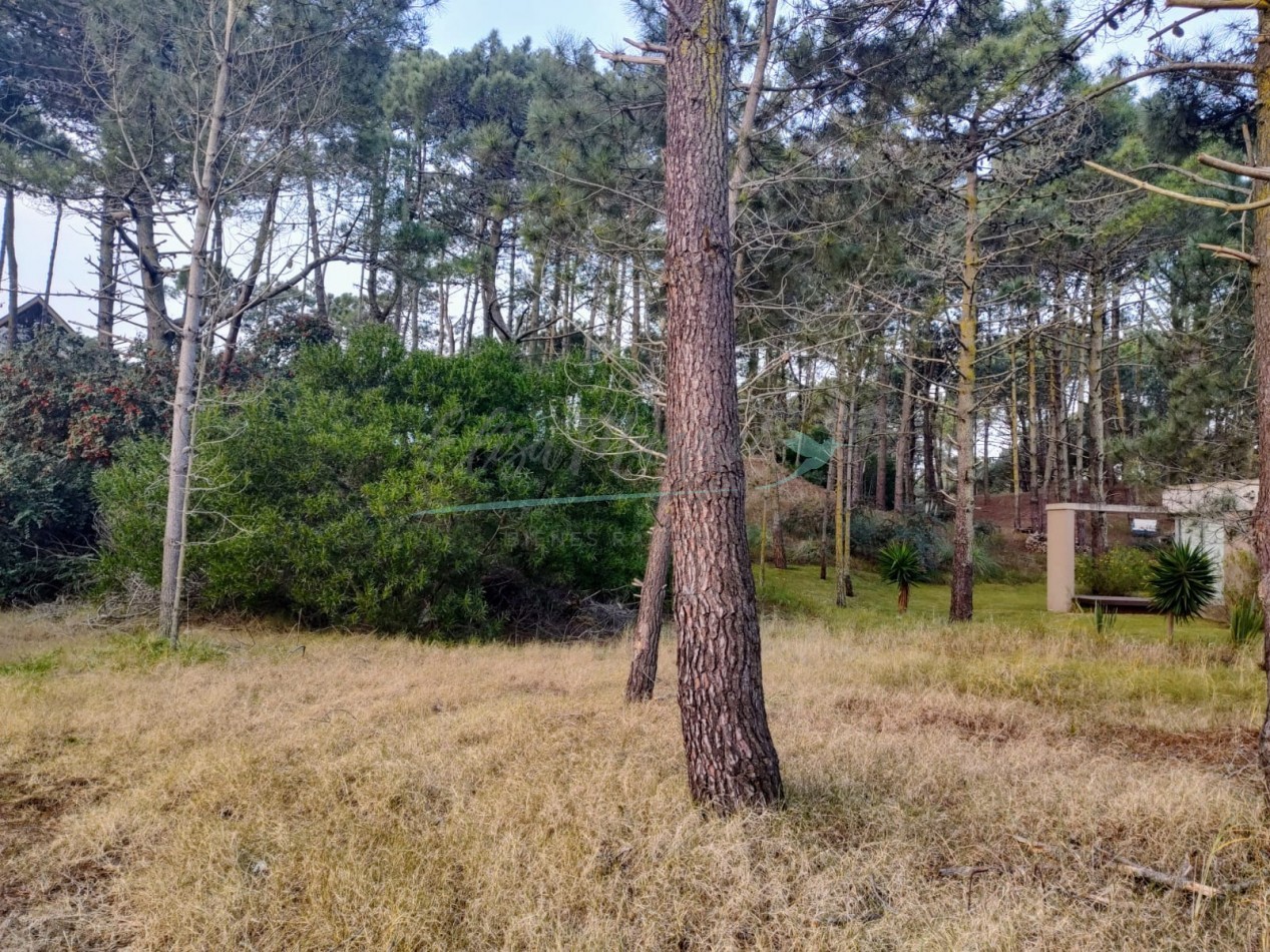 LOTE EN VENTA - ZONA ALAMOS - PINAMAR