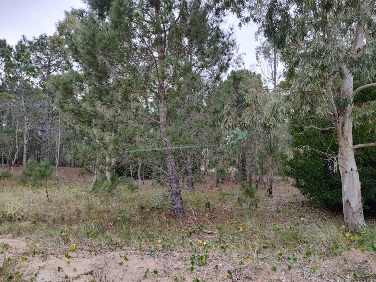 LOTE EN VILLA ROBLES - EN VENTA - OPORTUNIDAD - FINANCIACION