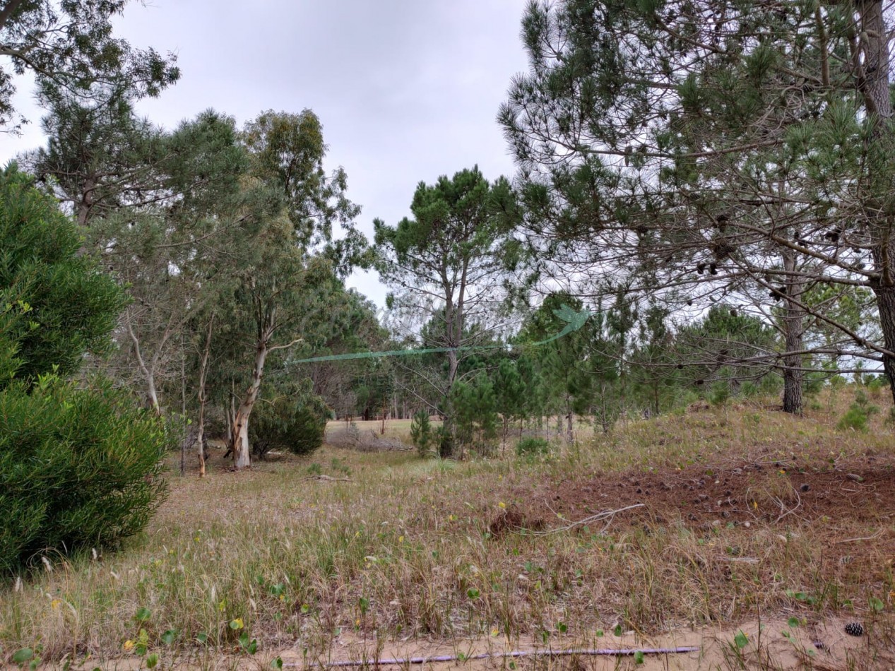 LOTE EN VILLA ROBLES - EN VENTA - OPORTUNIDAD - FINANCIACION