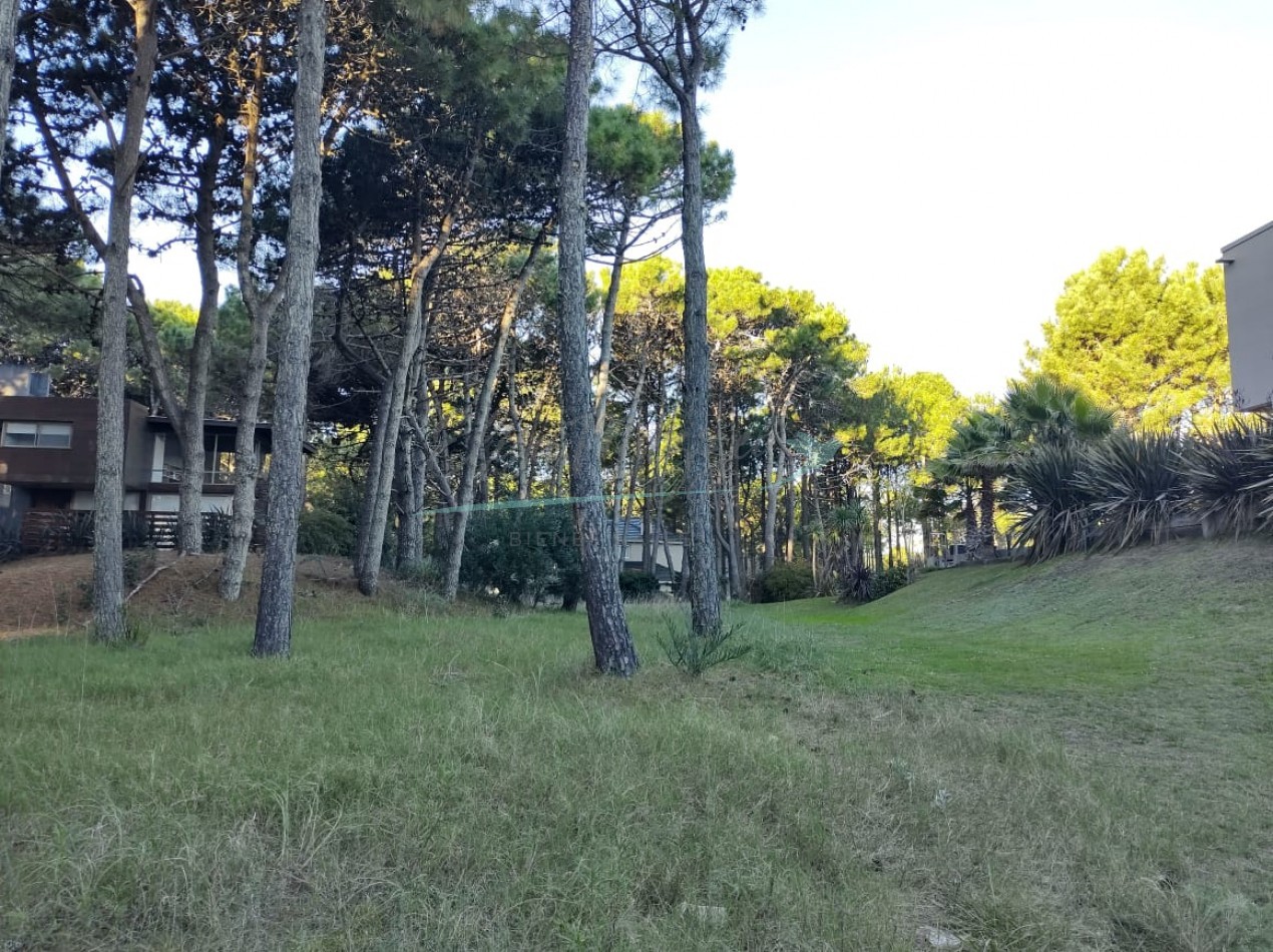 LOTE EN VENTA - PINAMAR NORTE 