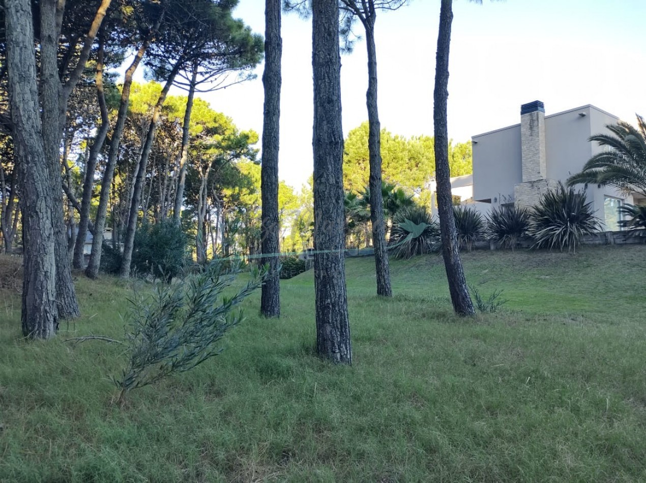LOTE EN VENTA - PINAMAR NORTE 