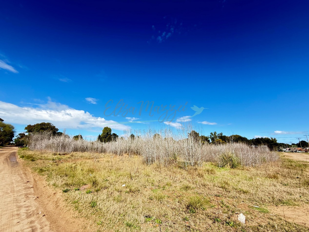 LOTE O MANZANA EN VENTA - OSTENDE - PINAMAR