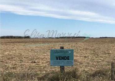 CHACRA EN VENTA - 12 HAS - MADARIAGA
