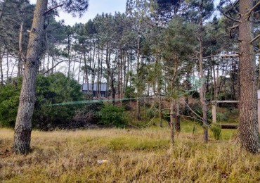 LOTE EN VENTA - ZONA ALAMOS - PINAMAR