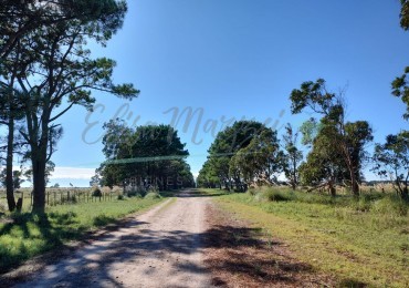 CHACRA EN VENTA - VILLA GESELL